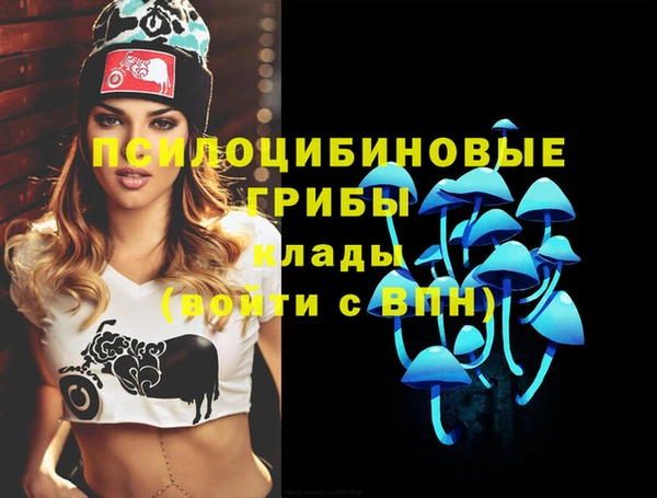 a pvp Алзамай