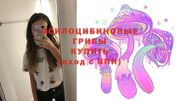 a pvp Алзамай